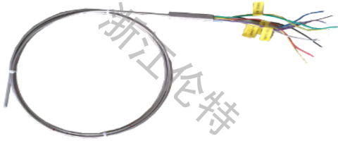 單支多點熱電偶